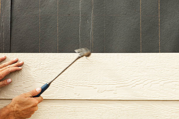 Best Siding Removal and Disposal  in Dadeville, AL